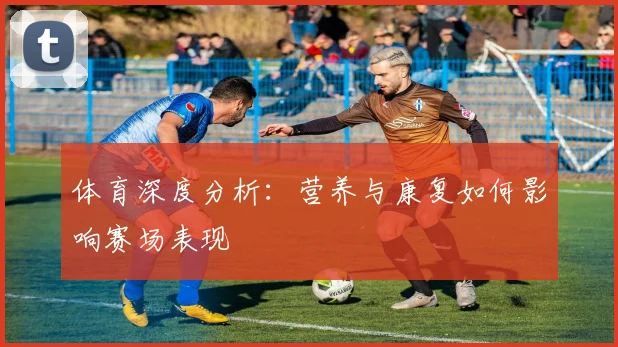 体育深度分析：营养与康复如何影响赛场表现