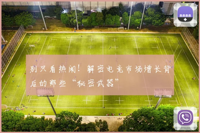 别只看热闹!解密电竞市场增长背后的那些“秘密武器”