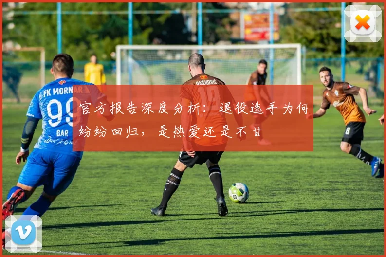 官方报告深度分析:退役选手为何纷纷回归,是热爱还是不甘