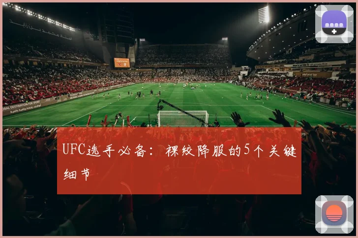 UFC选手必备：裸绞降服的5个关键细节